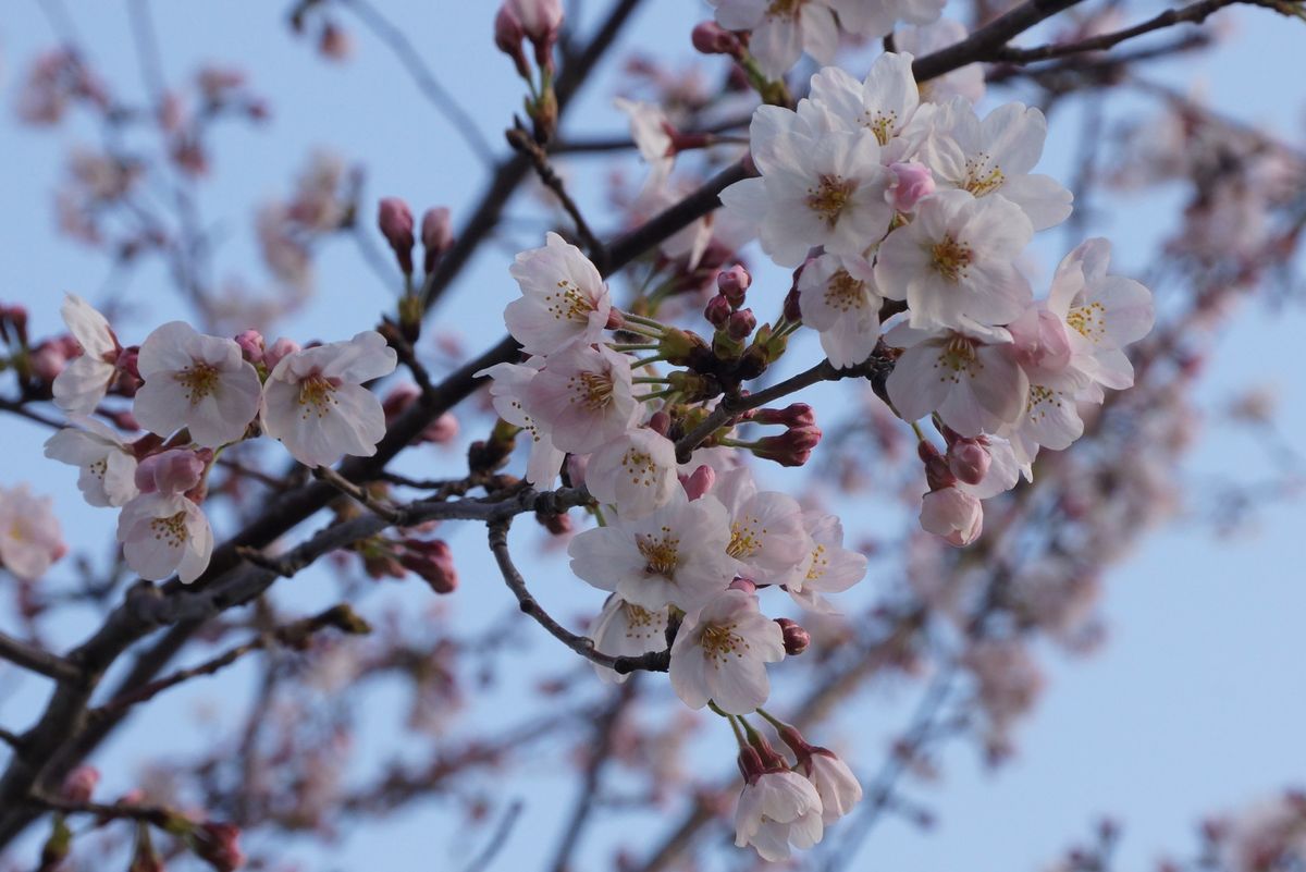 公園の景色