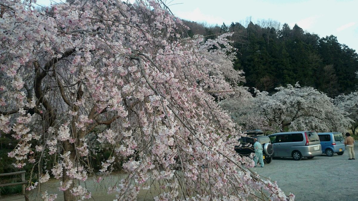 帰り道