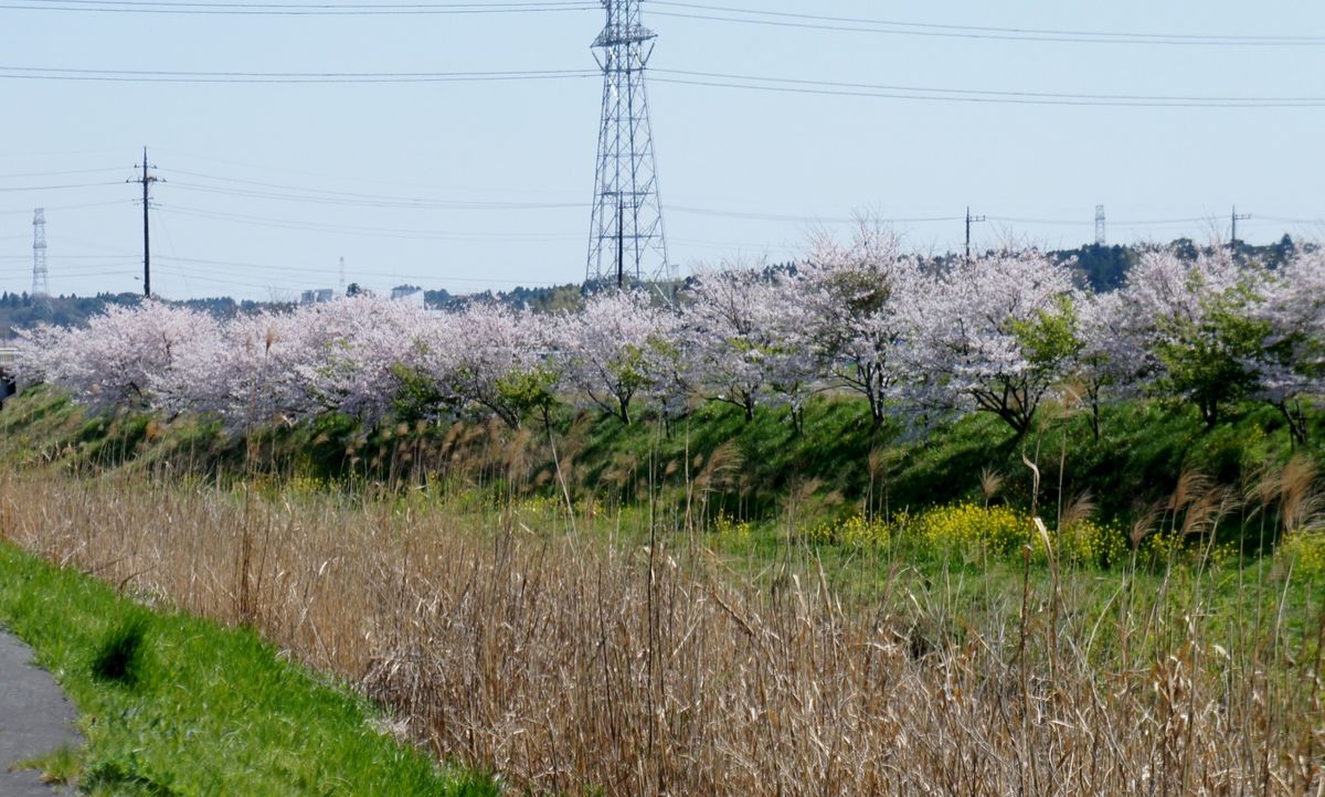 好い天気だから[i:237]