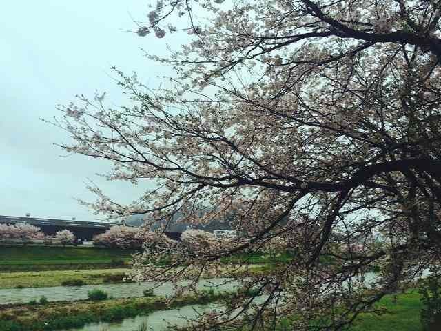 今日は入学式～*