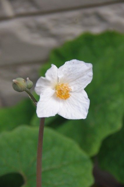 今日はいい天気です～