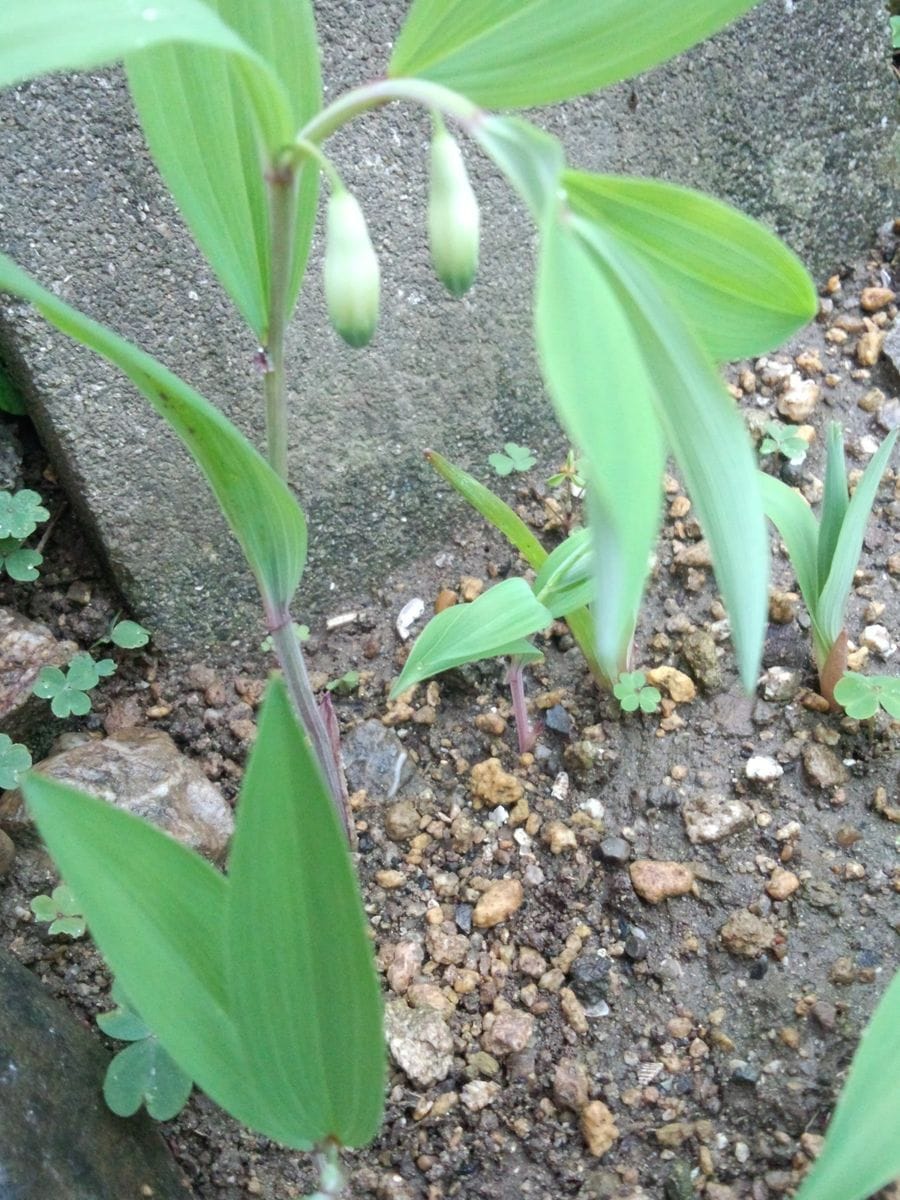 穀雨…ですって!!