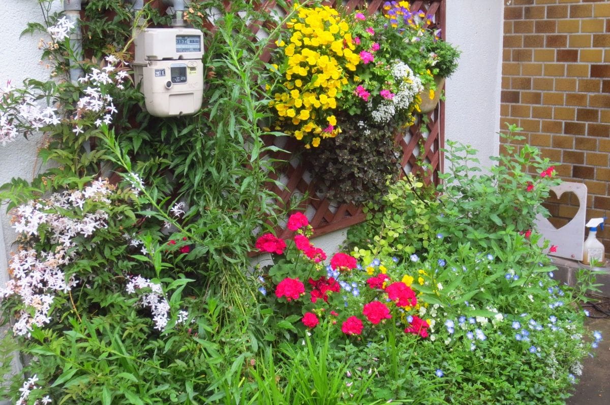 玄関横の小さな花壇