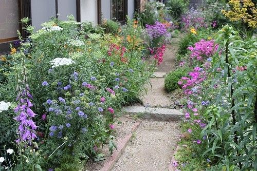 2週間後の花たち⑩