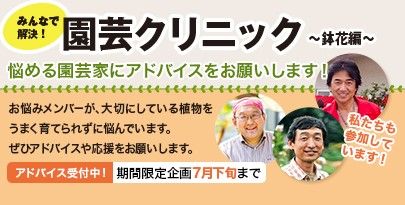 園芸クリニック本格始動！ お悩みメンバーにアドバイスをお願いします