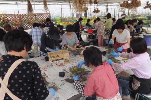 めぐりーんのフラワー教室