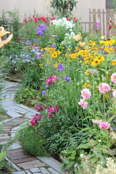 ６月の荒れ地ガーデン