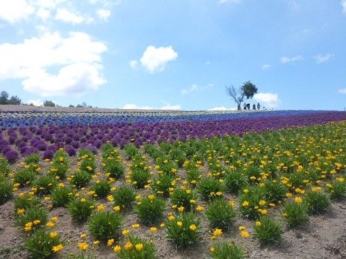 何かの参考になれば・・・①