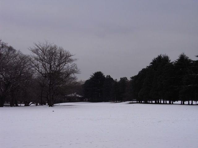 雪の野川公園