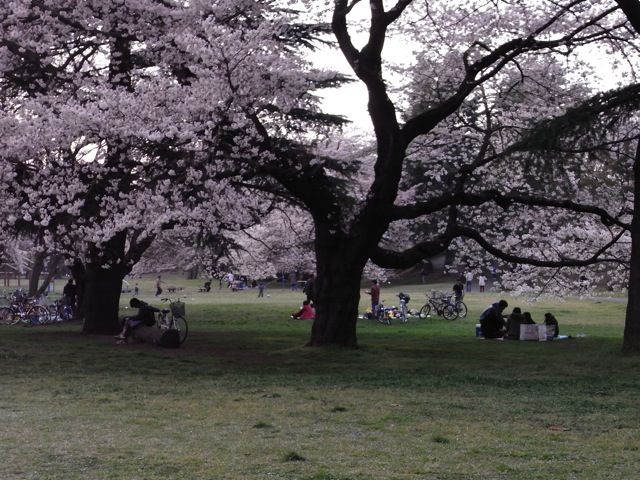 雪の野川公園