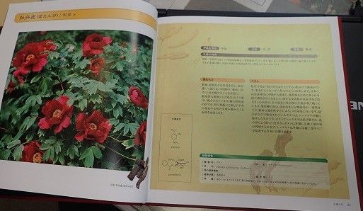 薬の花