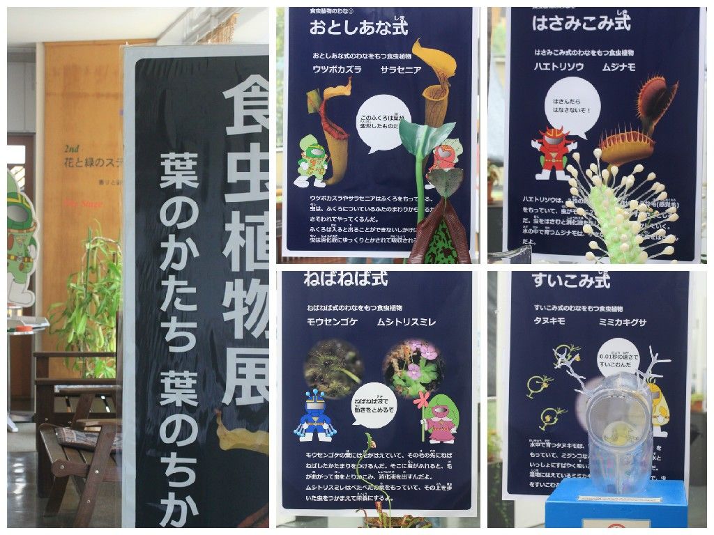 植物園に行こう～新潟県立植物園！