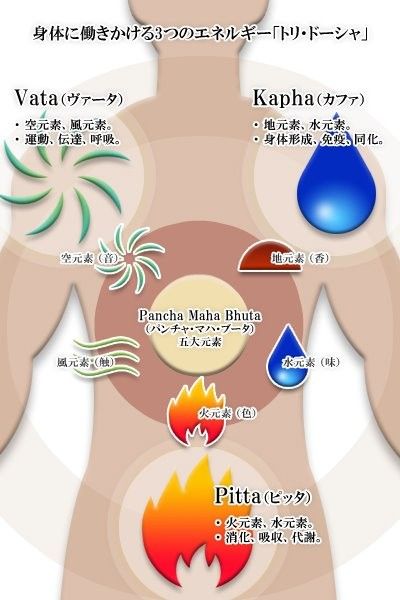 ニーム　21世紀の木-391　カパ体質から予知できる病気