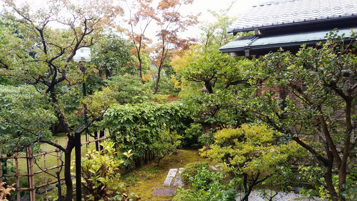 夜半からの雨に生き返った思い