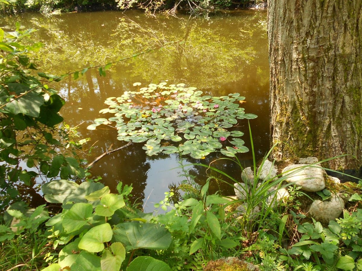 赤崎山森林公園