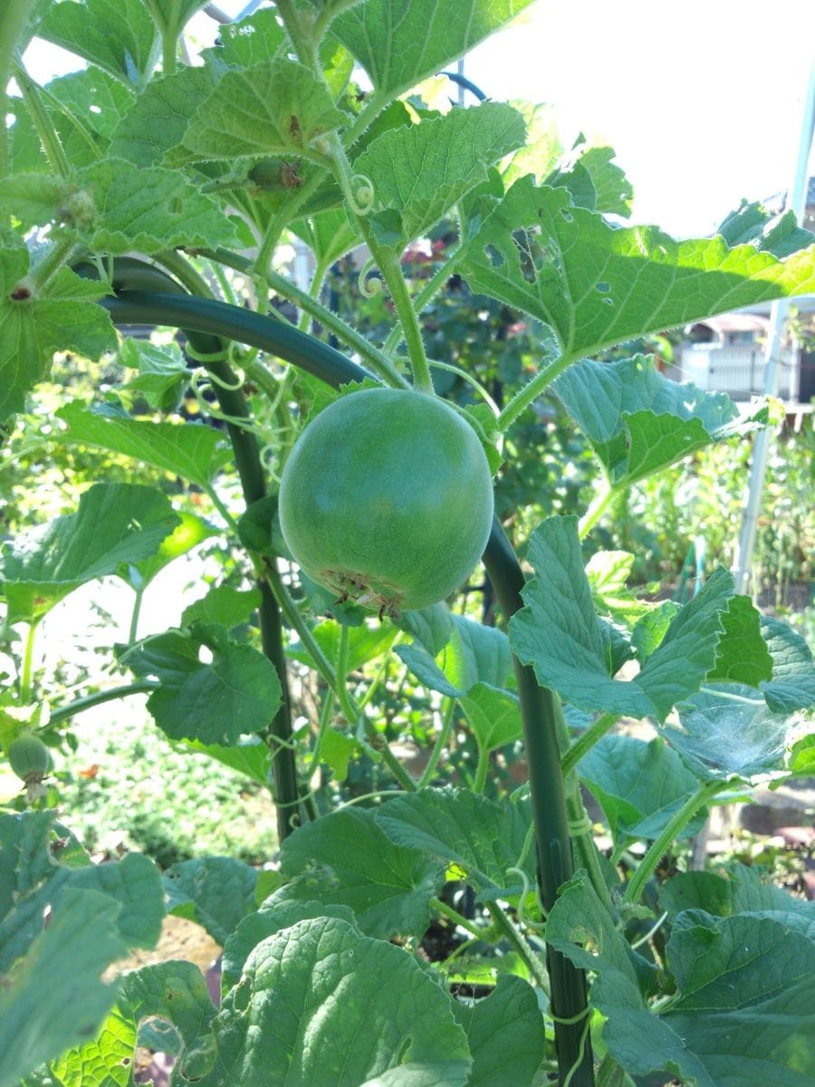 8月15日 今日の一日は…