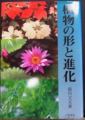 植物の形と進化