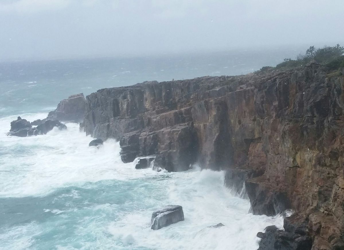 ニュースに出るかも？～三段壁・円月島・水族館～