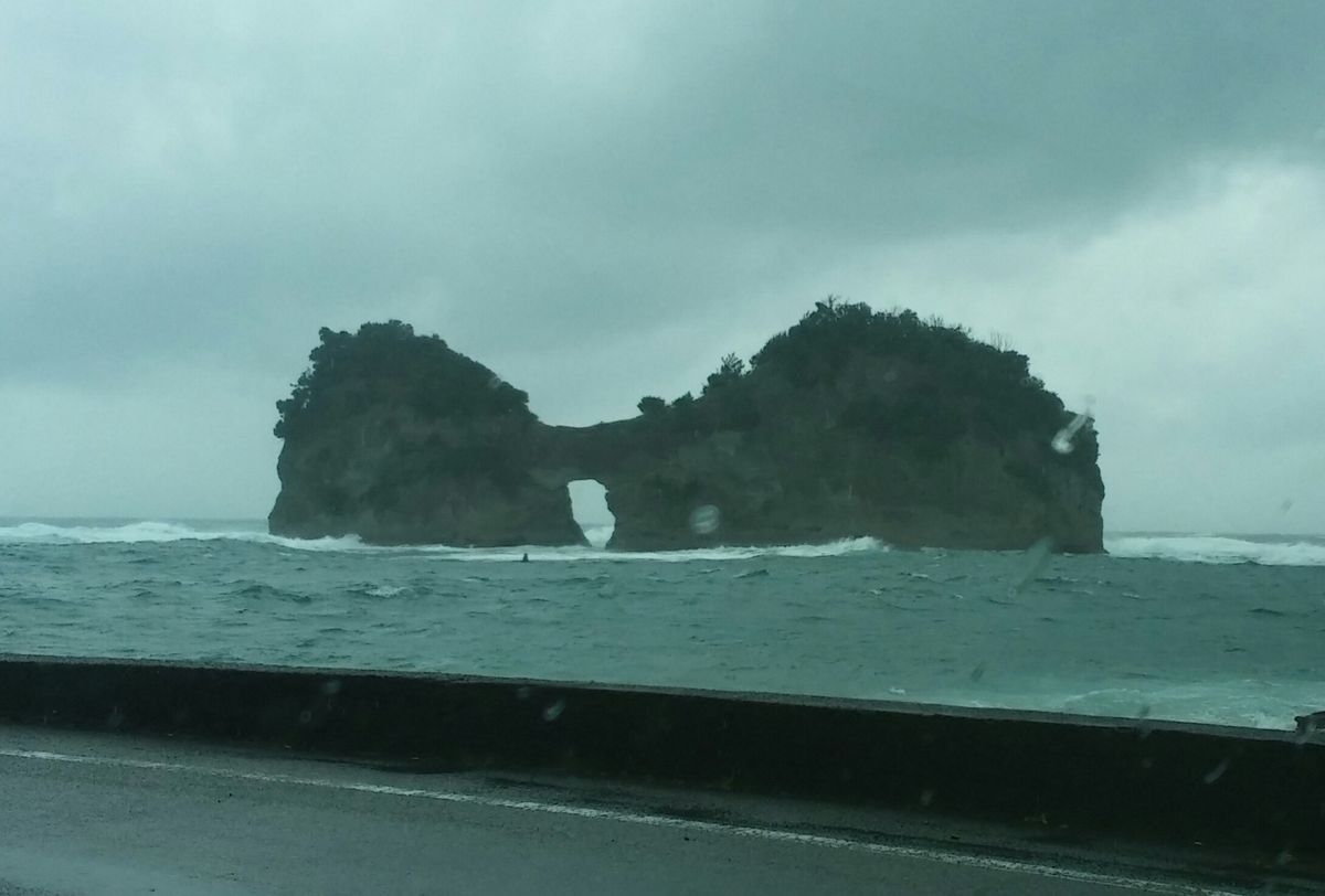 ニュースに出るかも？～三段壁・円月島・水族館～