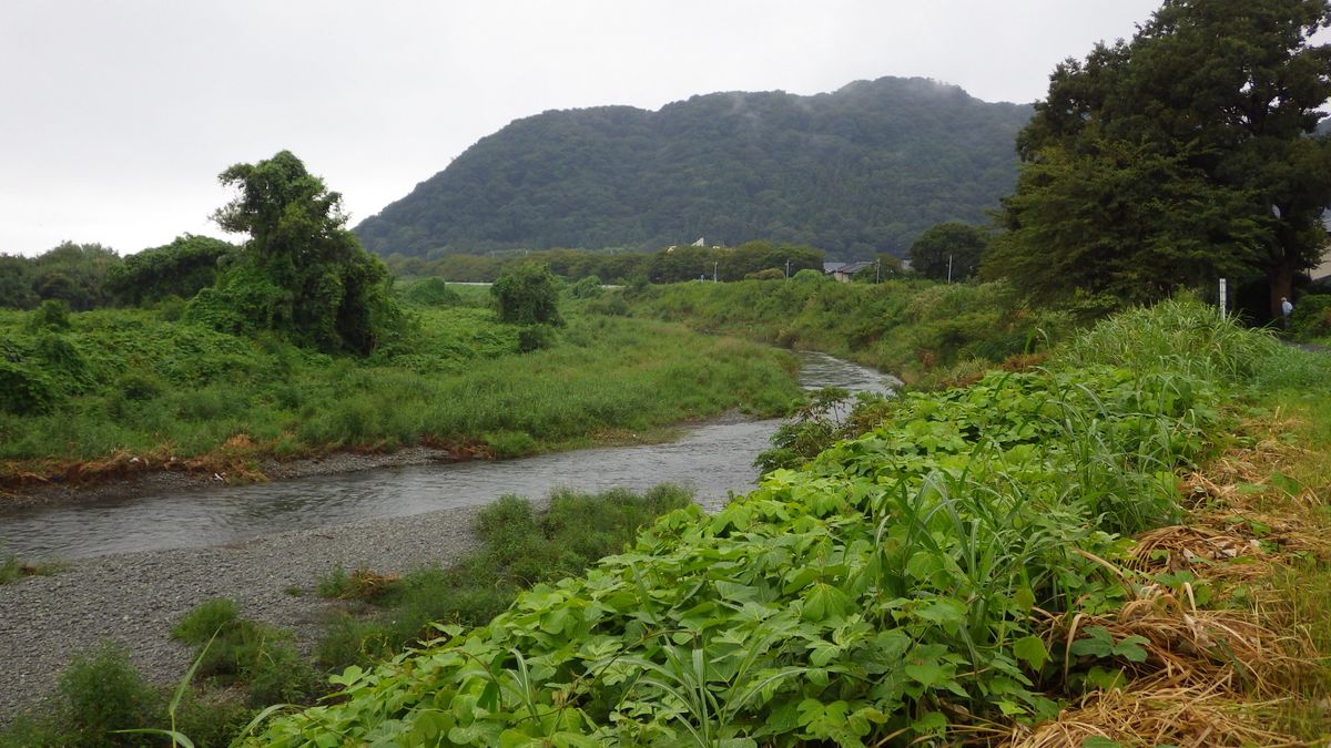 フィールドにて 2015 8月 川