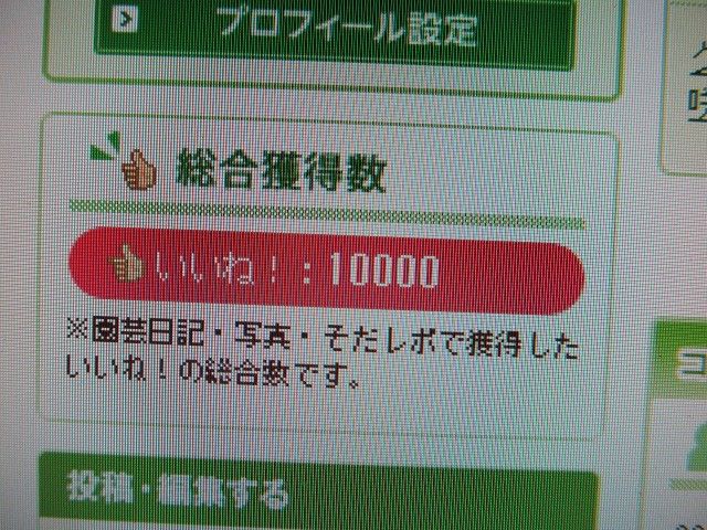 息抜きしました。ちょうど10000