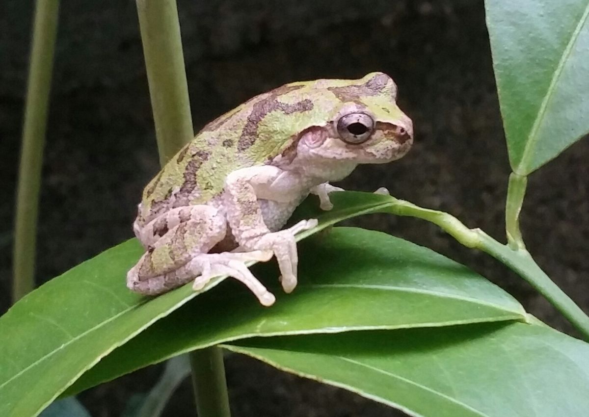 絶不調かも…💧