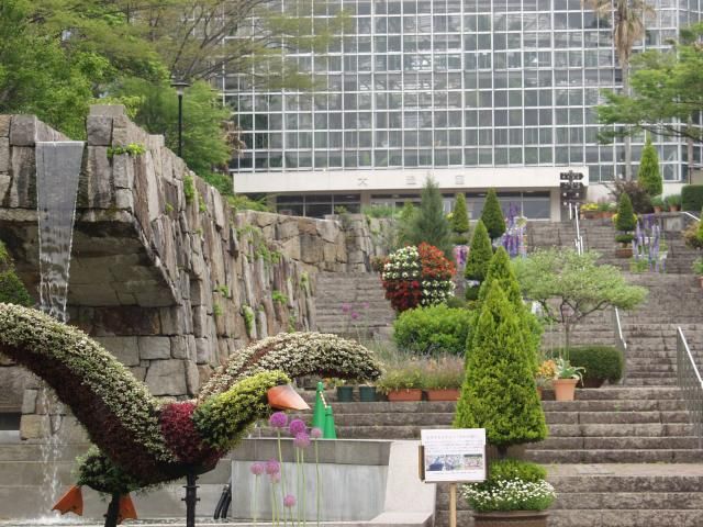 広島市植物公園のオールド・ローズ　１