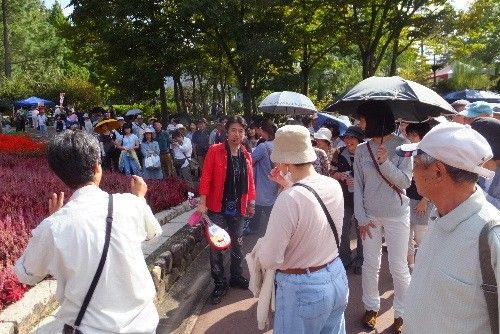 今日も花の文化園に行ってきました。