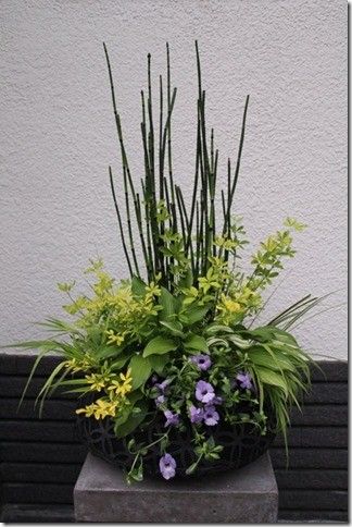 みんなの趣味の園芸寄せ植えコンテスト