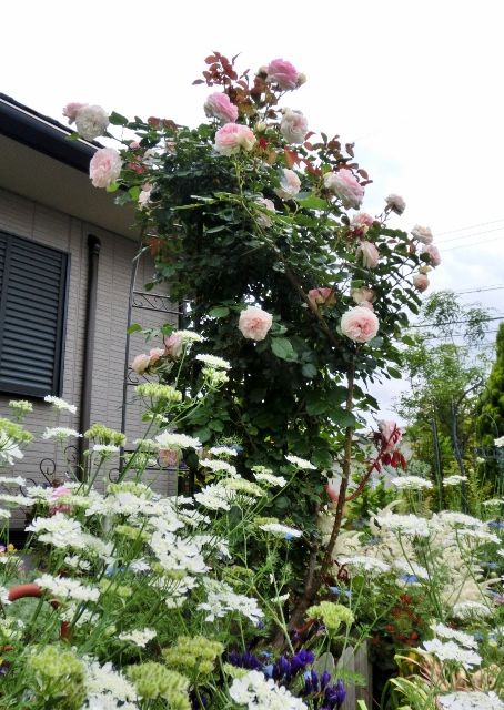 台風が近づいています