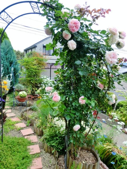 台風が近づいています