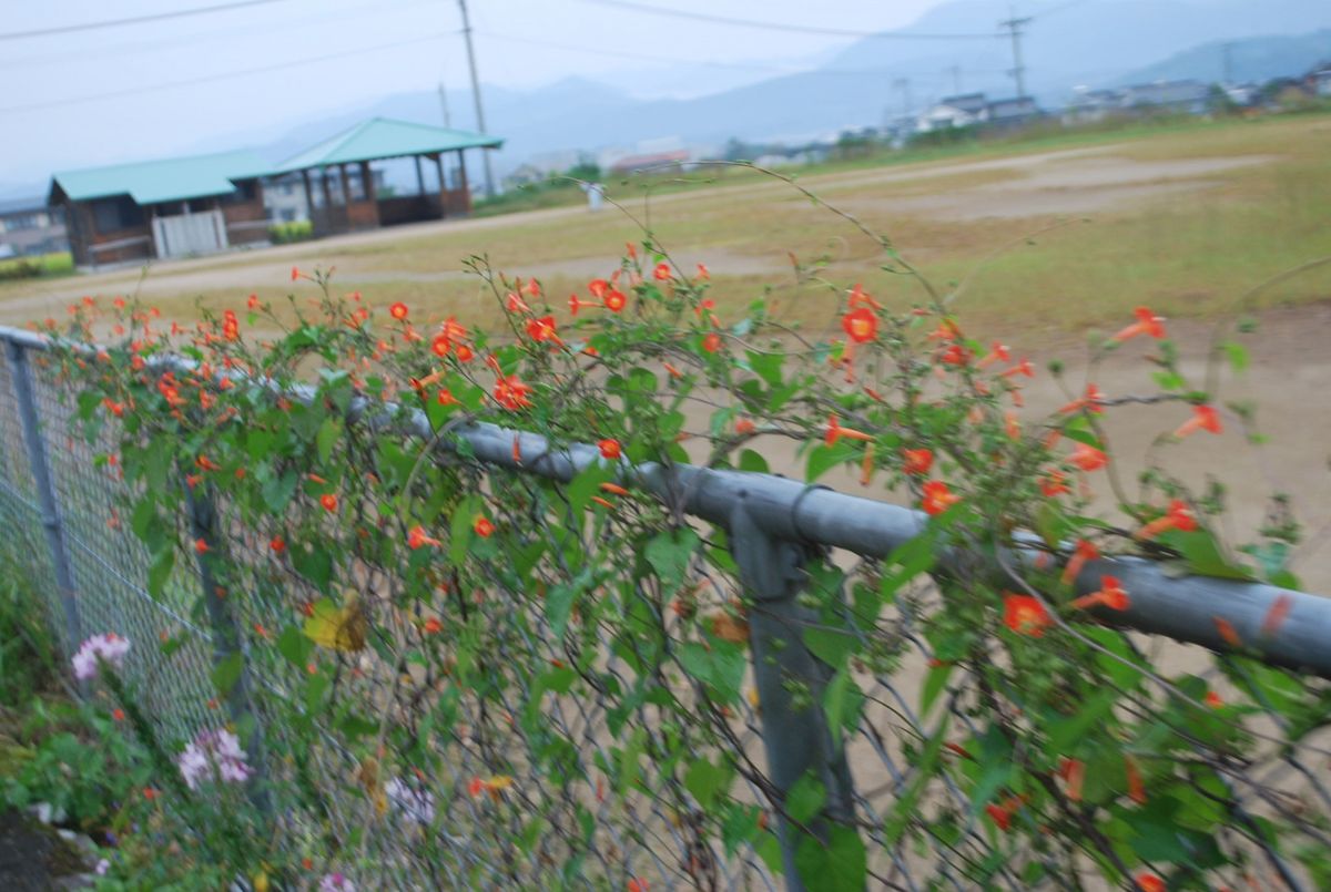 １０月になりましたね～～