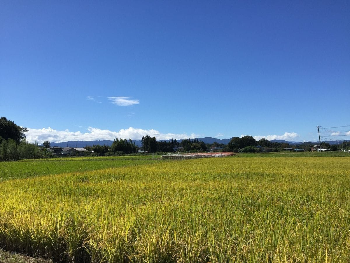 秋の空と山と実りの田んぼ(*^_^*)