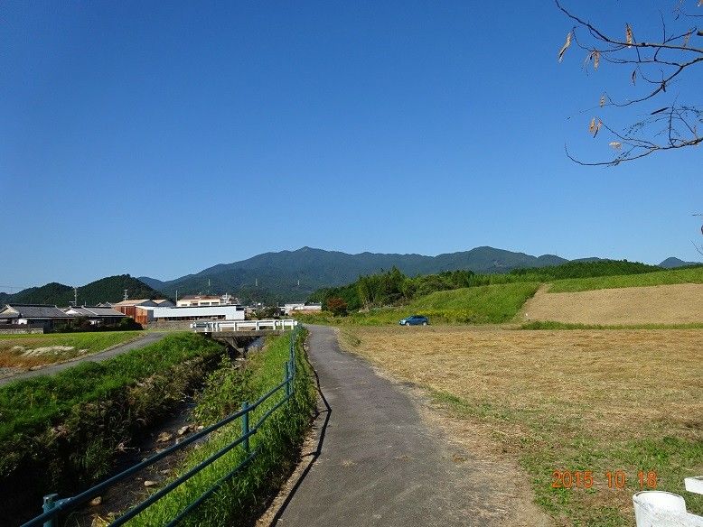 里山の秋、たけなわです。