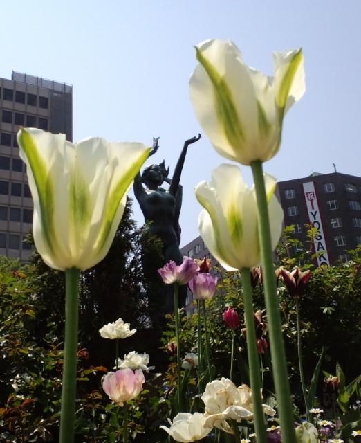 大通公園の花壇