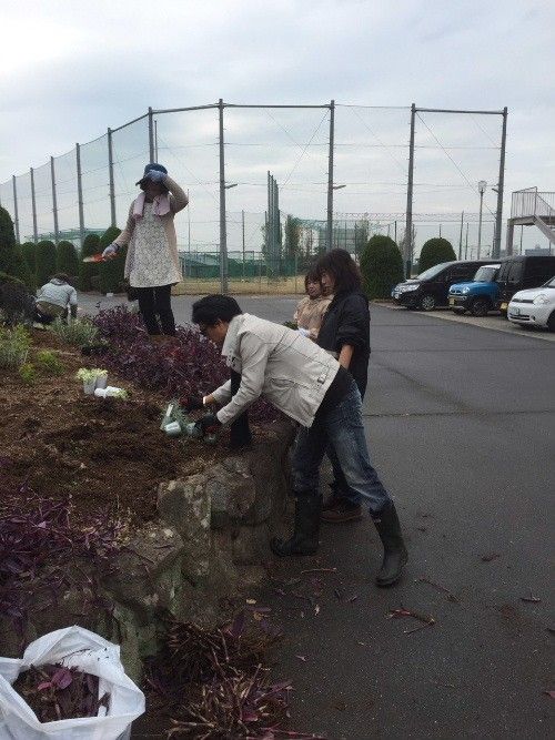 大阪府立貝塚南高等学校で植え込みしておりました。