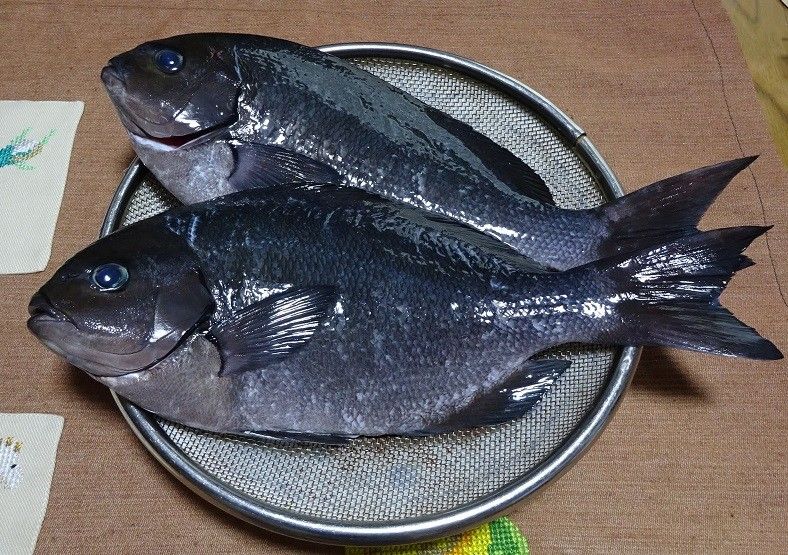 今日もわらしべ（魚と干し柿）