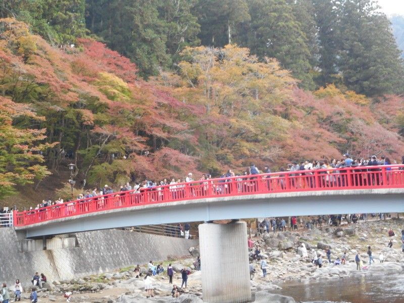 紅葉狩り。