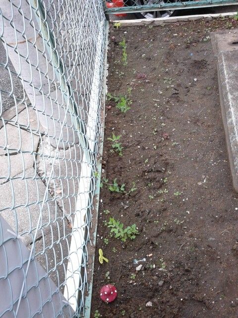 小雨のＲＰＣ～大きくなった物小さくした物～