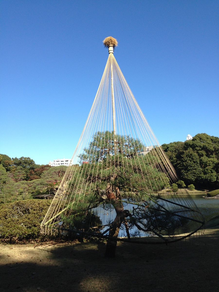 六義園再びと懐かしの表参道