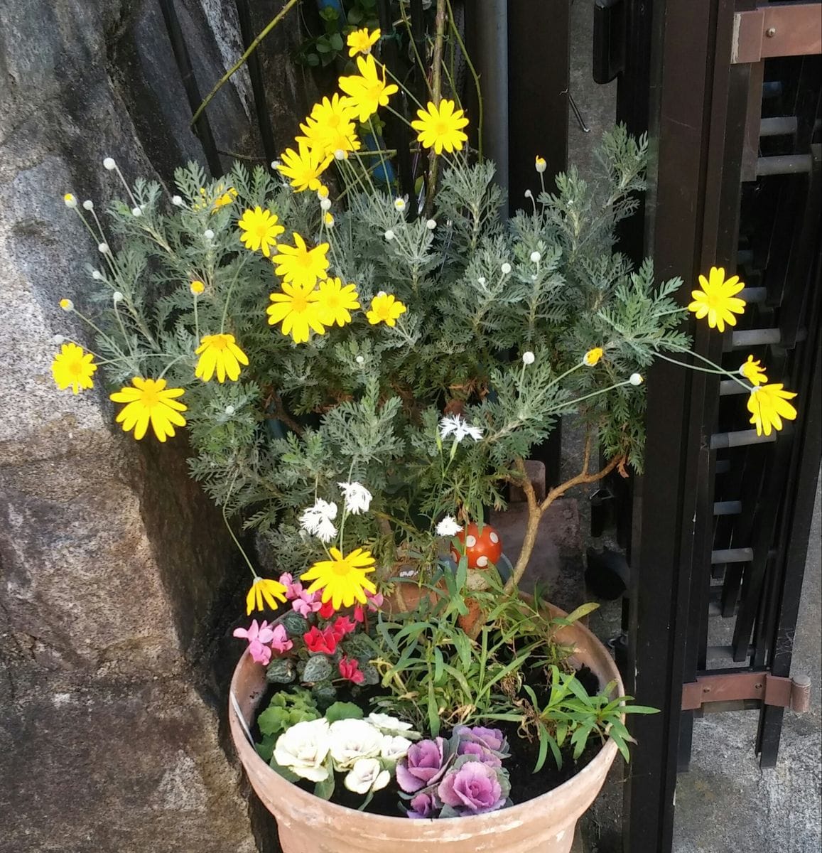 お正月🎍寄植え　など