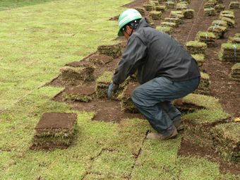 歴史を守る芝生広場の手入れをしています