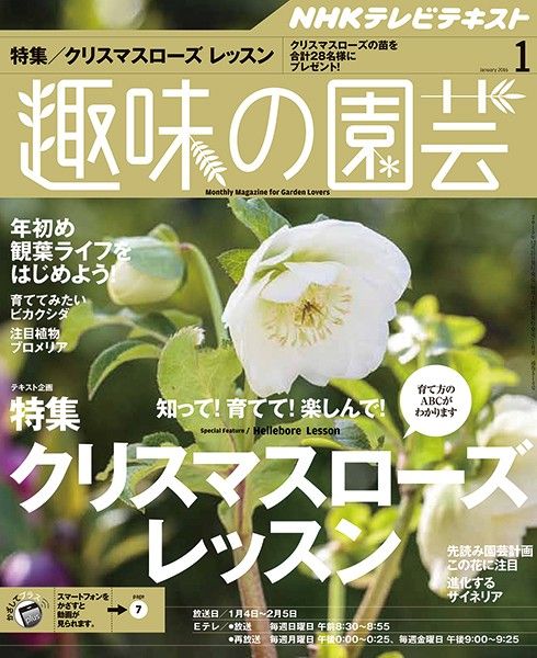 【テキスト掲載情報】『趣味の園芸』1月号に掲載されたメンバーを発表！