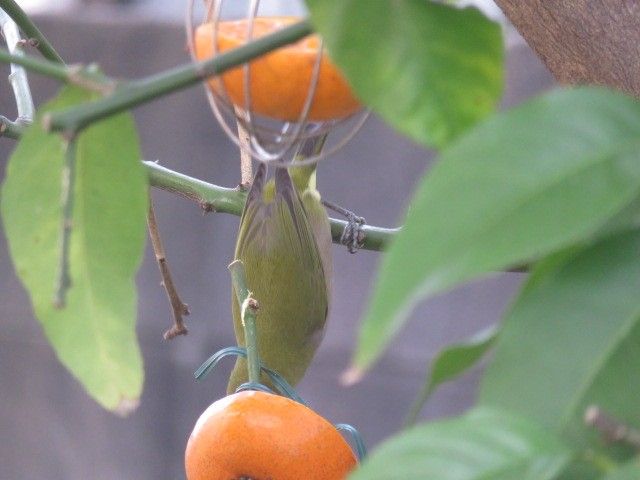 年末の作業着々