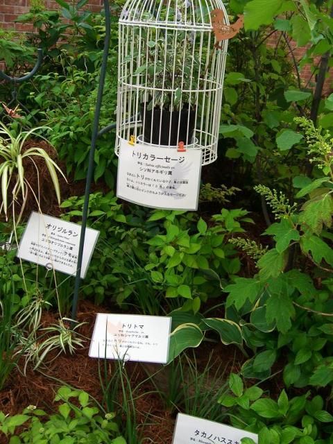 新潟県立植物園…「どうぶつのいない植物園」