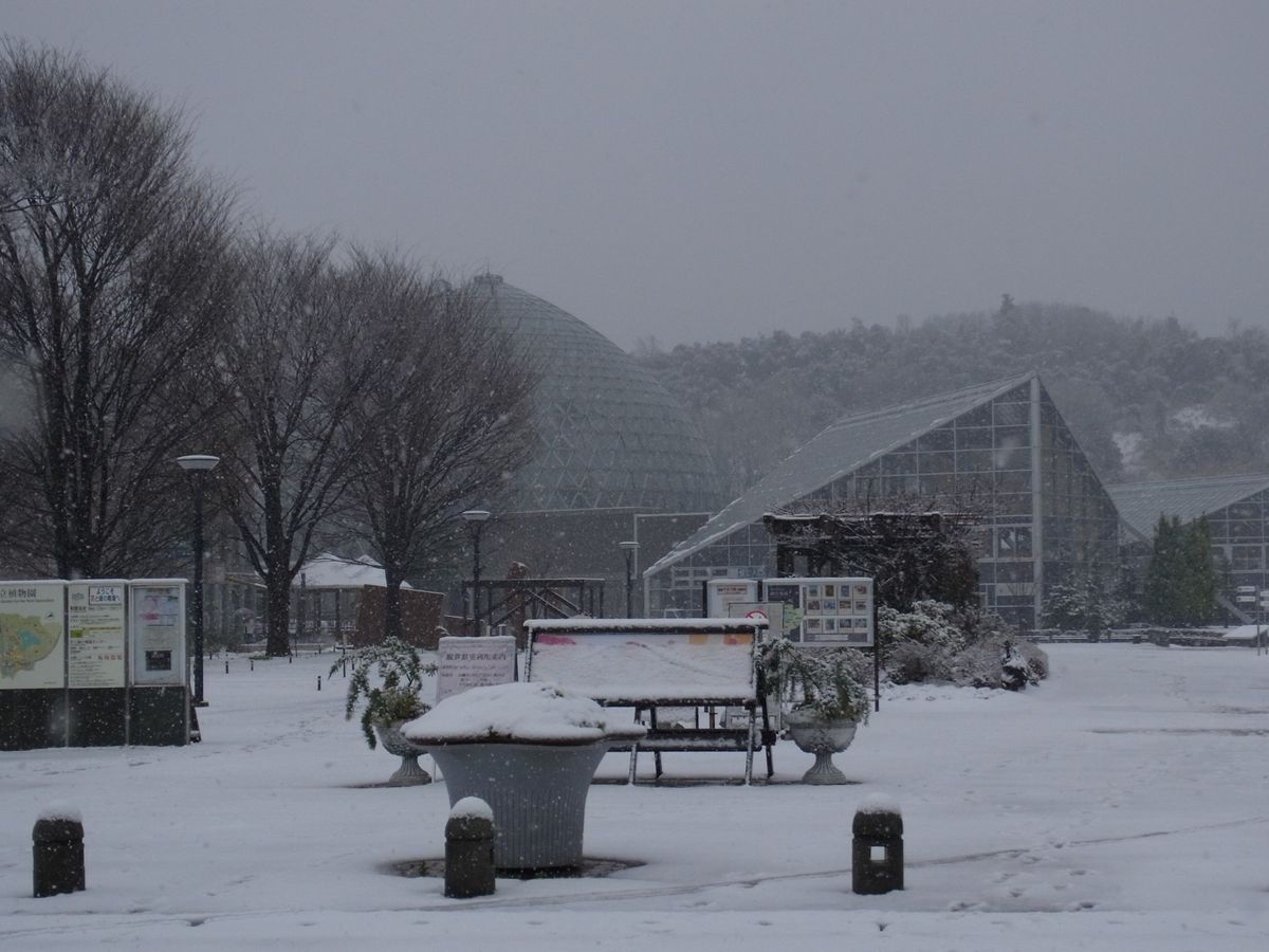 除雪車出動～！