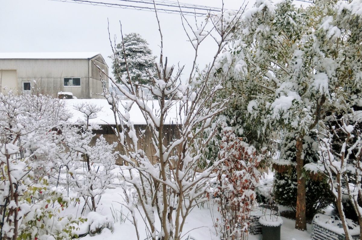 雪が積もりました[i:4]