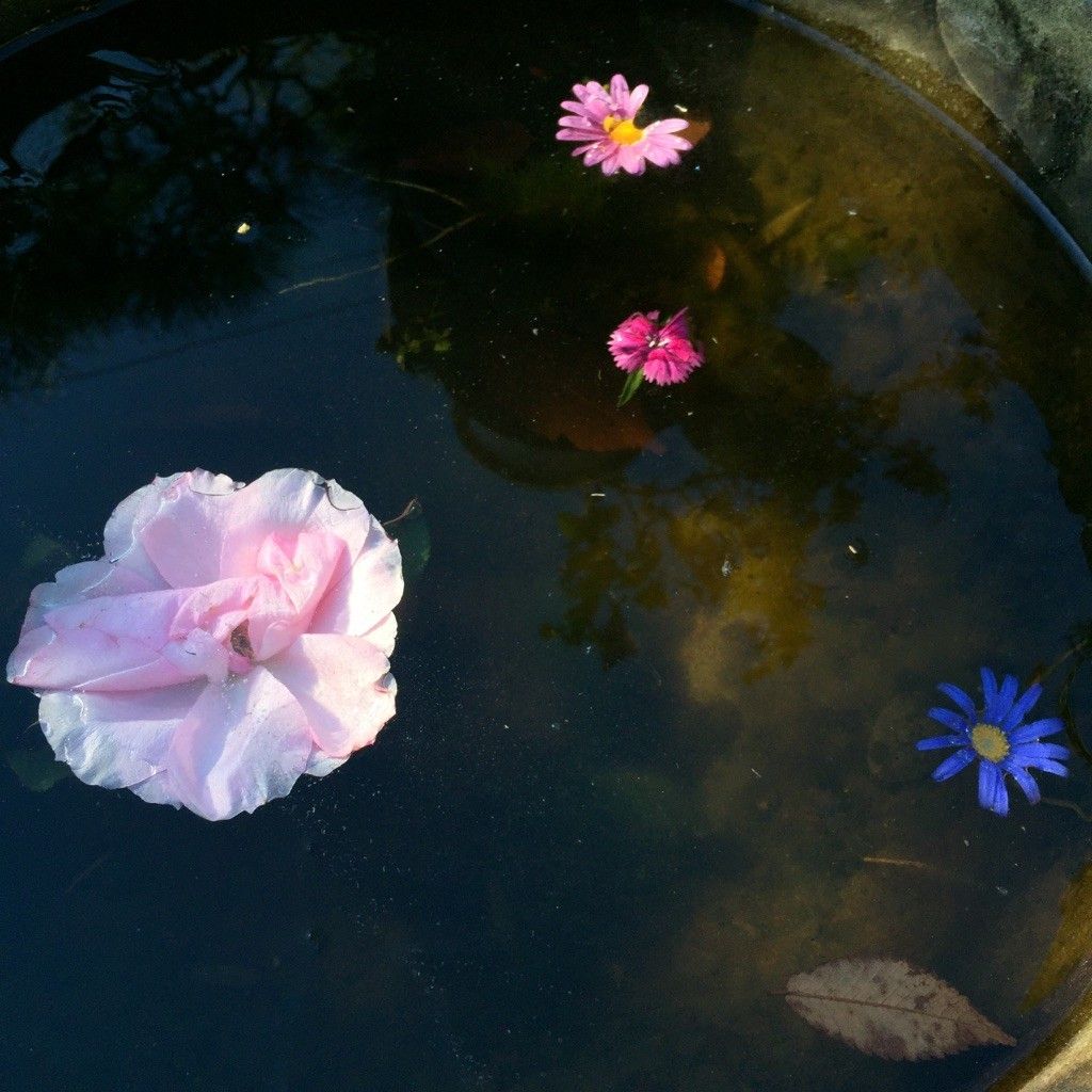 氷で遊んでみました♦♫♦･*:..｡♦♫♦*ﾟ¨ﾟﾟ･*:..｡♦