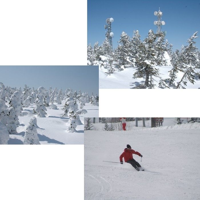 雪を見ると今でも・・・