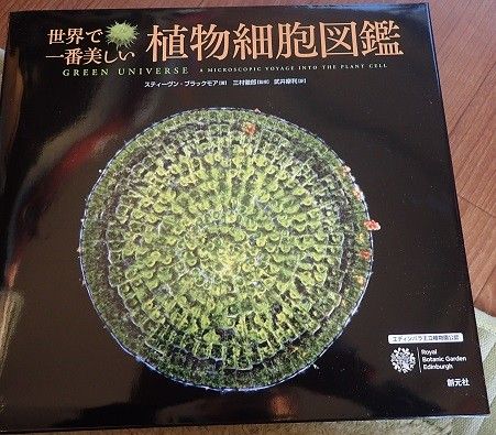 素敵な植物細胞